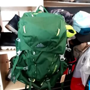 Gregory Backpack