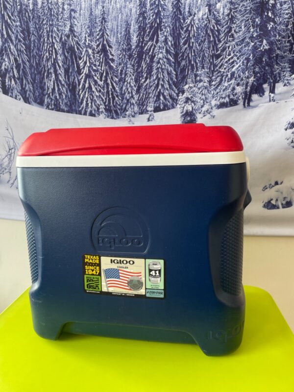 Igloo Cooler